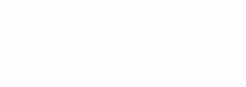 Zebs Logo